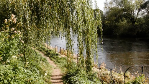 A section of the River Wye with numerous trees displaying early signs of autumn, featuring leaves changing their colours.